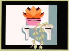 
【大国粮策】给片叶子就能活？这项研究厉